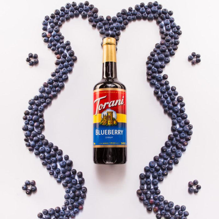 Blueberry Syrup - Equilibrium Intertrade Corporation