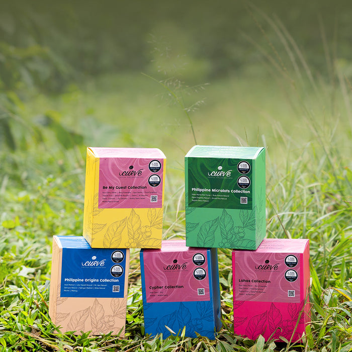 The People Behind Every Cup: Meet the Producers and Farmers Shaping Curve Coffee's Collections