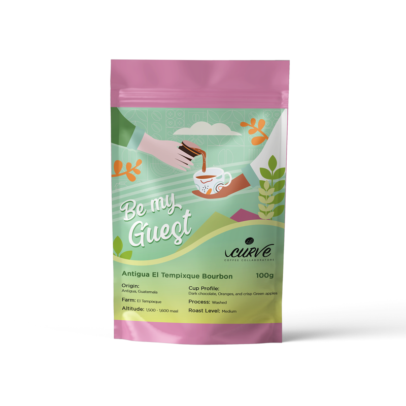 Antigua El Tempixque Bourbon 100g