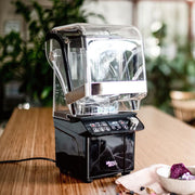 Gusto Pro Blender - Equilibrium Intertrade Corporation