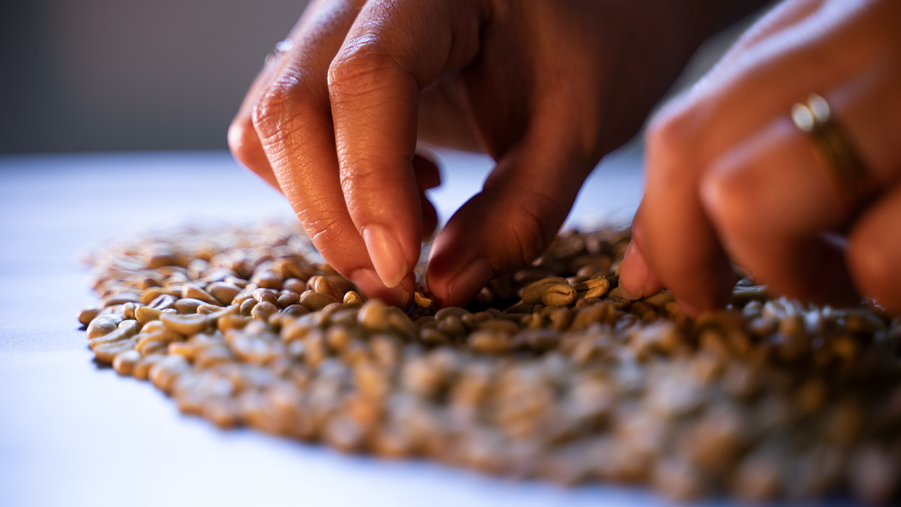 Revolutionizing the Specialty Coffee Trade